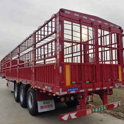 China 13000*2500*3250mm Steel Chassis Fence Semi Trailer for Cargo Transport for sale