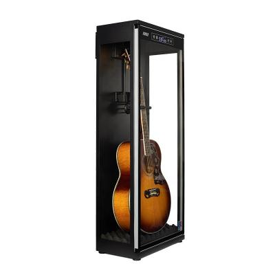 China Fashionable Plastic Musical Instruments Guitar Cabinet Made in China for sale