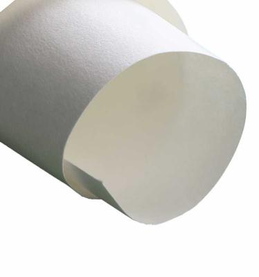 China Bio-degradable best sales cupstock 210gsm 280gsm High Bulk CUPSTOCK board paper roll for sale