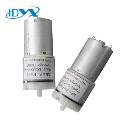 China Quiet Mini 6V Family Homes Compressor , Compressor Micro Quiet Compressor for sale