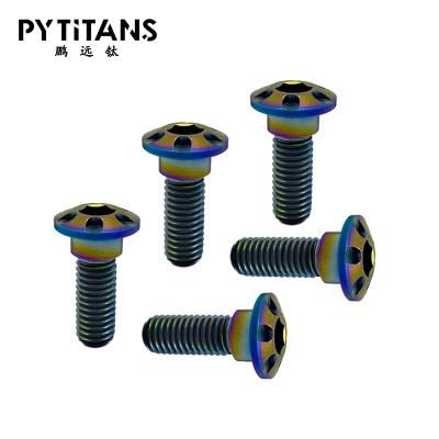 China Motorcycle Factory Direct Sale GR5 Titanium Hexagon Socket Curved Head Bolt Titanium Screw for sale