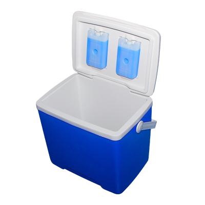 China Newest High Grade Plastic Wholesale Solar Ice Cooler Box Blow Molding for sale