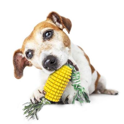 China New Dogs Dog Chew Toy Corn Molar Stick Pet Molar Toy Stick Pet Toy Pet Supplies for sale