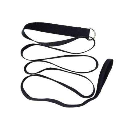 China New Design Single Viable Personalized Dog Leashes With D Clip for sale