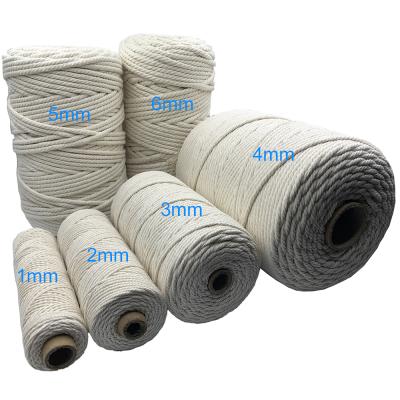 China Factory Direct Wholesale Soft Twisted Cotton Rope High Tenacity Rope For DIY Craft Wall Decoration for sale