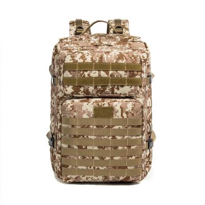 China Waterproof Molle Backpack Mesh Padding Shoulder Strap With Mesh Area Tactical Airy Comfortable Padded Backpack for sale