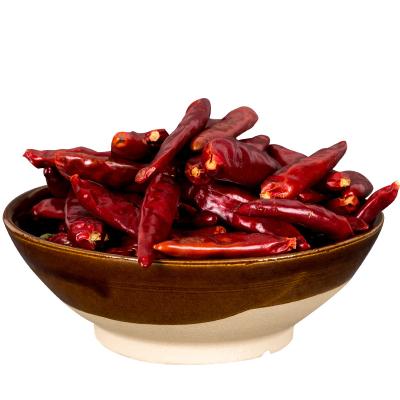 China Chinese Hot Pot Seasoning Whole Chilli Dried Chilies 250 Gram Bag Style Bulk Dry Chilies for sale