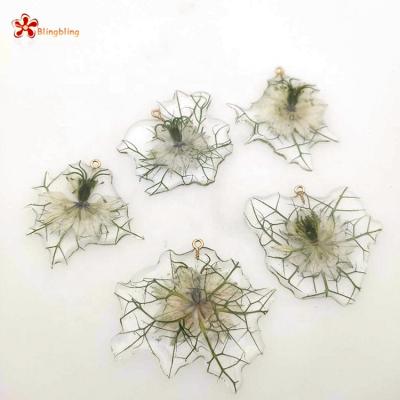 China Best selling romantic new design real flower pressed dry flower sativa nigella for sale