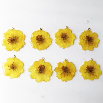 China Real Romantic Botanical Dry Pressed Flower Charms Cosmos Sulphureus Epoxy Resin Pendant Jewelry Making Charm for sale