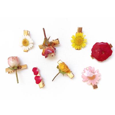 China Resin+real Dried Flower Woman Hairpin Hairpin Wedding Ornament Delicate Simple Claw Hawaiian Gold Lady Big Flower Hair Cheap Clip for sale