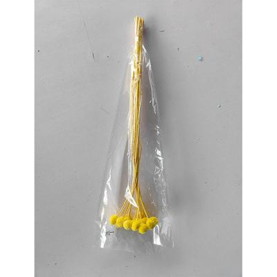 China GBP-0008 Natural Touch Preserved Flowers Golden Ball Golden Ball Preserved Flowers for sale