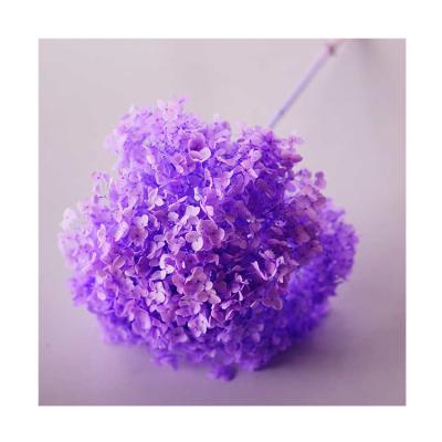 China HY-0007 Natural Stable Touch Quality Hydrangea Flower Head Hydrangea Flower Wedding Hydrangea for sale