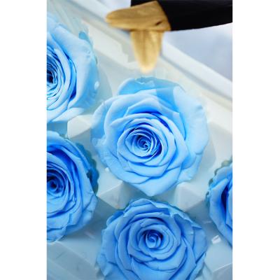 China RH-0005 Natural Touch Modern Novel Design Preserved Rose Head Flower Head Roses for sale