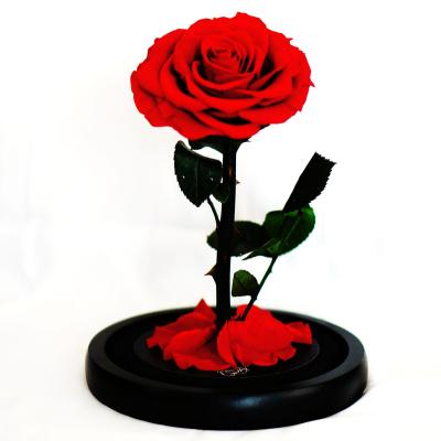 China RIG-0001 Natural Touch RIG-0001 Excellent Quality 2021 Rose In Glass Preserved Roses Trending Products In Glass for sale