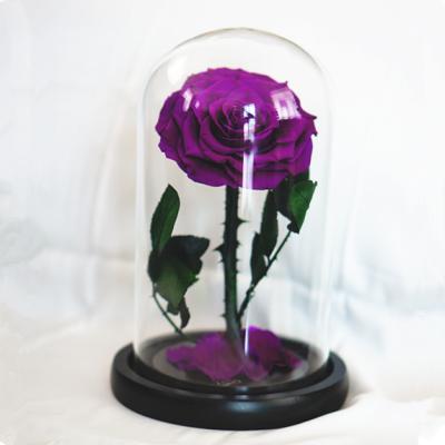 China Latest Touch RIG-0002 Natural High Tech Rose In Glass Dome Rose In Glass Dome for sale