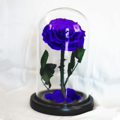 China RIG-0003 Contact Natural Hot Selling Competitive Price Preserved Rose In Glass Dome Preserved Rose In Glass Dome for sale