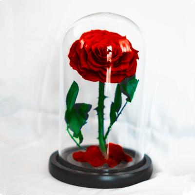 China RIG-0004 Natural Touch Top Quality Real Rose In Glass Forever Rose In Glass Use For Celebration for sale