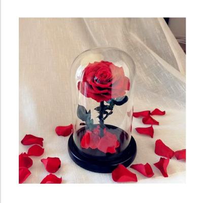 China RIG-0005 Natural Touch Skillful Manufacturing Reasonable Price Preserved Rose In Dome Glass Rose In Glass for sale