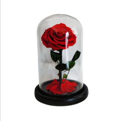 China 2021 Natural Contact RIG-0006 Hot Sale Forever Preserved Rose In Glass Reasonable Price Rose In Glass for sale