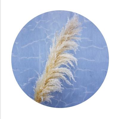 China BP-0002 Touch Modern Design Natural Original Color Dried Pampas Grass Pampas Grass For Wedding Decoration for sale