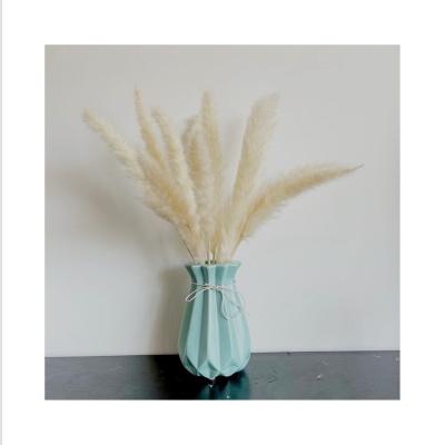 China SP-0007 Touch Modern Design Natural Colorful Pampas Grass Decor Small Dry Pampas Grass Dried Small Dry Pampas Grass For Decoration for sale