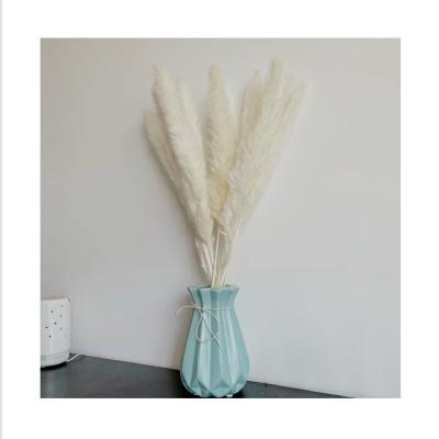 China Small Touch SP-0009 Wholesale Price Pampas Natural Colored Fluffy Small Pampas Small Bleached Natural for sale