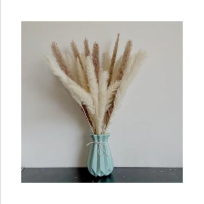 China SP-0031 Natural Touch Excellent Quality Small Pampas Dried Pampas Grass 45Cm Small for sale