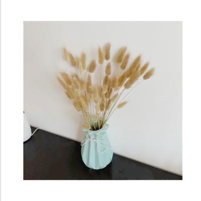 China BT-0031 Natural Touch Flowers Bunny Tail Grass Decoration Bunny Tail Grass Dried Flower for sale