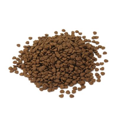 China Main Food OEM Cat Food Factory Exports Cheapest High Protein Pet Food All Age Cat for sale