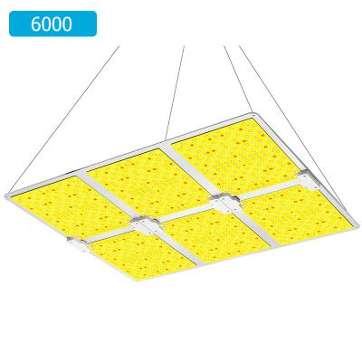 China Seed Building LED Plant 800W Grow Light Board Full Spectrum IP65 3000K 5000K 660NM 730NM For Indoor Greenhouse for sale