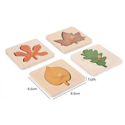 China Nordic Style Toy Montessori Biology Puzzle Toy Cartoon Painting Puzzles Set 4in1 Wooden Grow Leaves Board Games Jigsaw Drawing Educational Knowledge for sale