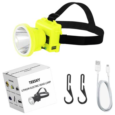 China Directly Best Outdoor Convenient Supplier Led Construction Head Light 1000 Lumens Headlight Camping for sale