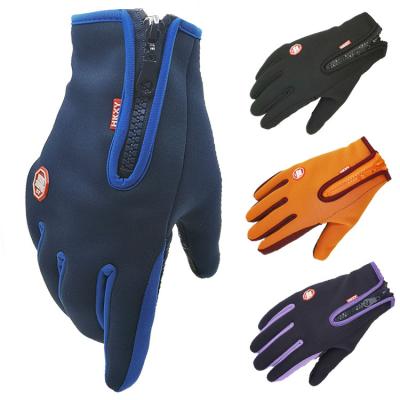 China Winter Warm Touch Screen Wear Waterproof Windproof Thermal Gloves For Men Women Outdoor Camping Cycling for sale