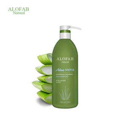 China Loss Prevention USA Origineted Organic Aloe Nourishing and Repairing Hair Shampoo| 460ml/720ml Hair Care Shampoo+Scalp Treatment For Anti Hair Loss for sale