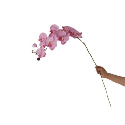 China Latex Natural real Touch Latex Moth Orchid Artificial Flower  Orchid orchid for decorative flowers for sale