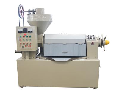 China Large Capacity  Palm Kernals Oil Processing Machines Mustard Seeds Oil Extraction for sale