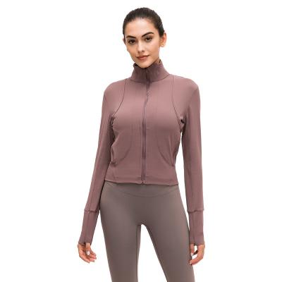 China Breathable In Stock Zipper Fitness Yoga Wear Sportswear Activewear Top Seamless Workout Plus Size Women Clothing Sportswear for sale