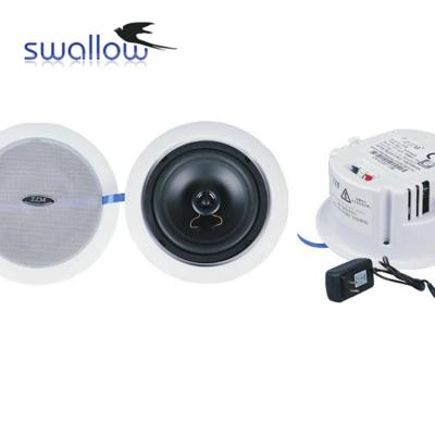 China Mini Speaker Sound System Hanging of the Best Ceiling Speakers for sale