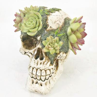 China Europe Ghost Whisper Souls Plants Skeleton Graveyard Succulent Head Statue Skulls Figurine Sculpture Skulls for sale