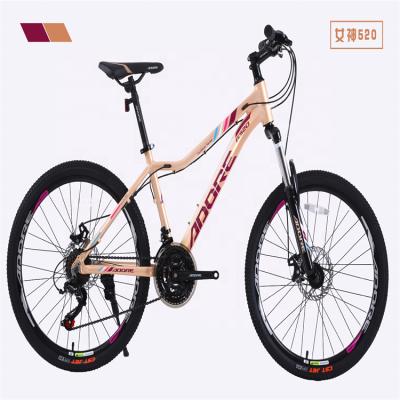 China Popular 2022 Mode Bike Mountain Bike Folding Bike for sale