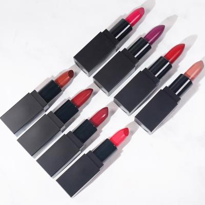 China Custom Waterproof Black Lipstick Tubes Lipsticks Long Lasting Waterproof Colored Bullet Colors Lipstick for sale