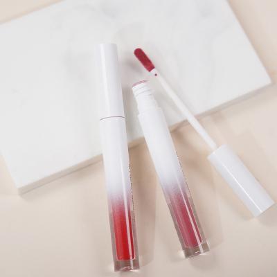 China Moisturize Custom Business 54 Colors Gradient Lip Gloss Tube Vegan High Quality Shimmer White Lip Gloss Gloss for sale