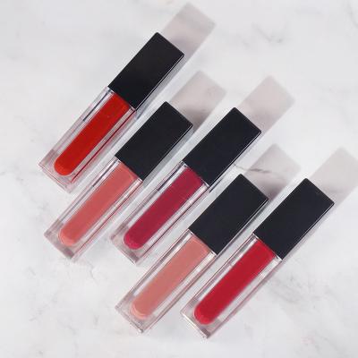 China Moisturizing Wholesale Cosmetics Vendors Private Label Lip Gloss Long Wearing Moisture Wholesale Lip Gloss for sale