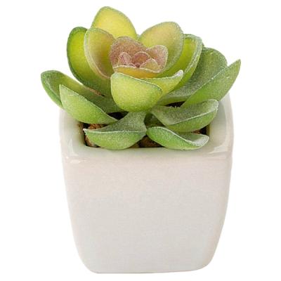 China Eco - Friendly Artificial Succulents In White Ceramic Pot As A Kind Of Artificial Plant For Home Office Bathroom Table Desk Decoration for sale