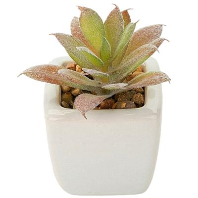 China Eco-friendly Fake Succulents in White Ceramic Pot for Home Office Bathroom Table Desk Decoration for Festival Gift for sale