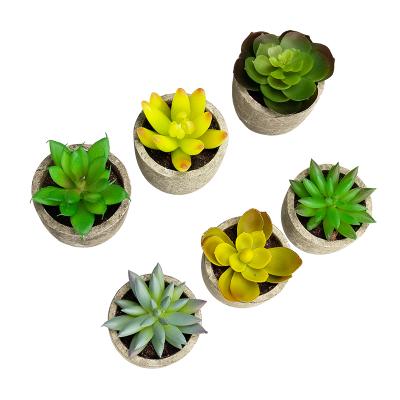 China Small Cheap Home Desktop Artificial Decoration Bonsai Artificial Succulent Eco-friendly Decoration With Paper Pulp Pot for sale