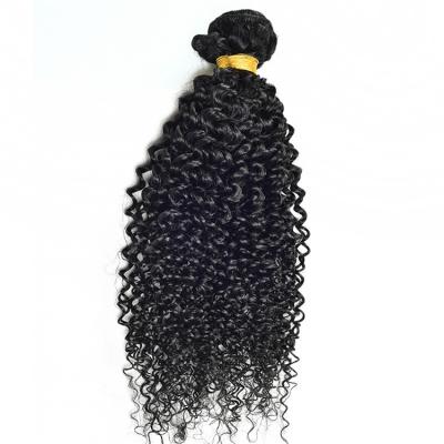 China Curly Kinky Curly Virgin Hair Bundles 10