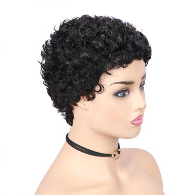 China Jerry Curl Vendor Pixie Hair Wig 150% Density Short Curly Hair Virgin Hair Full Lace Wigs for sale