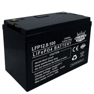 China 12V 100AH ​​LiFePO4 Battery Lithium Iron Phospha Cell Built-in BMS For Boat RV With USB3.0QC Fast Charge And Cigarette Igniter 100Ah for sale