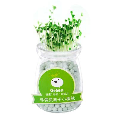 China DIY Amazon Cartoon Negative Ion Landscape Micro Plant Bonsai Set For Indoor Office With Tao Carbon Ball And Flowered Seeds for sale